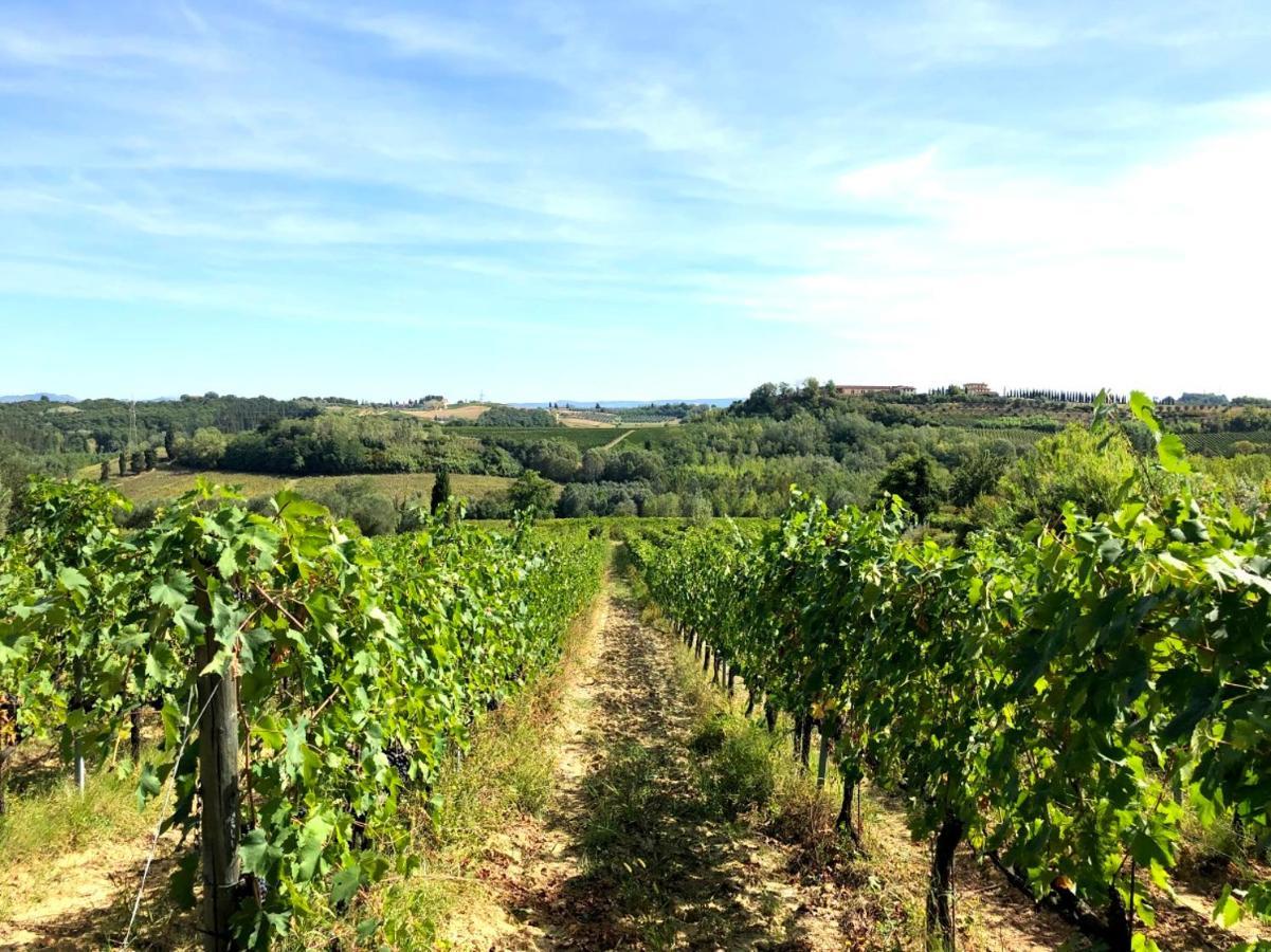Appartamento La Ginestra - Terrazza Orciatico Esterno foto